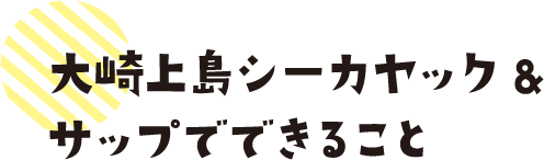 大崎上島シーカヤック&サップでできること