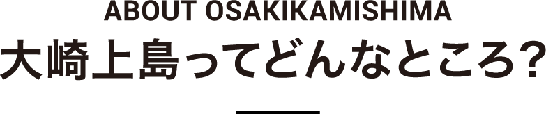 大崎上島ってどんなところ？