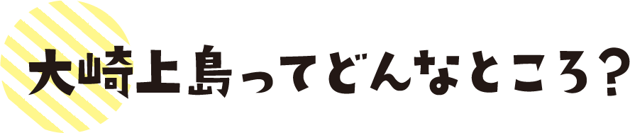 大崎上島ってどんなところ？